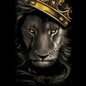 Meet your Posher, Terio